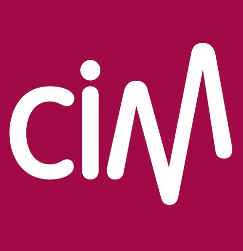 CIM CrossMediastudie Editie 2015