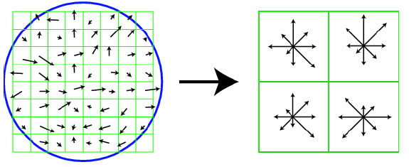 a b Figuur 25: a) Blauwe cirkel geeft aan welke pixels te ver weg liggen b) de eigenlijke beschrijver bestaande uit 4 kwadranten met elk 8 hoofdrichtingen Bron: Szeliski, 2010