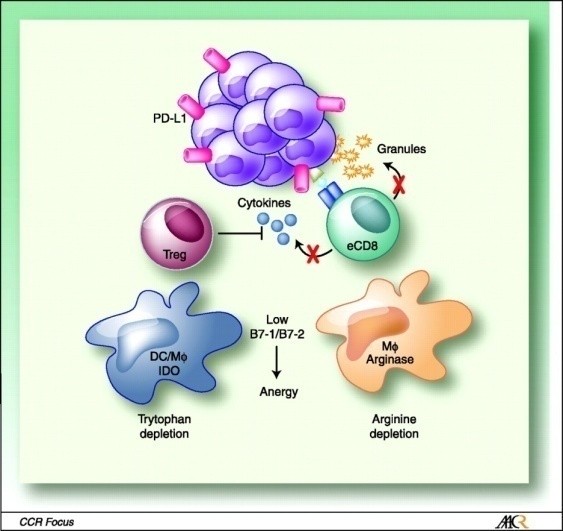 Conclusies discussiant Stop targeted therapy