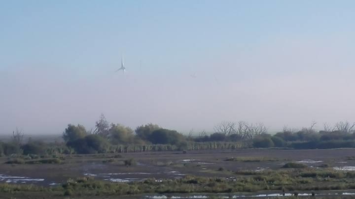 de zon en droog. Middenin het gebied ook een houten uitkijkhut, aan het eind van het Laarzenpad. Soms heel erg drassig, was nu net te doen. Als we bij het gebied aankomen is het behoorlijk mistig.