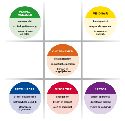 Wil jij jezelf en alle medewerkers in je team in hun kracht zetten? Boek dan nu een dag teamontwikkeling op basis van drijfveren.