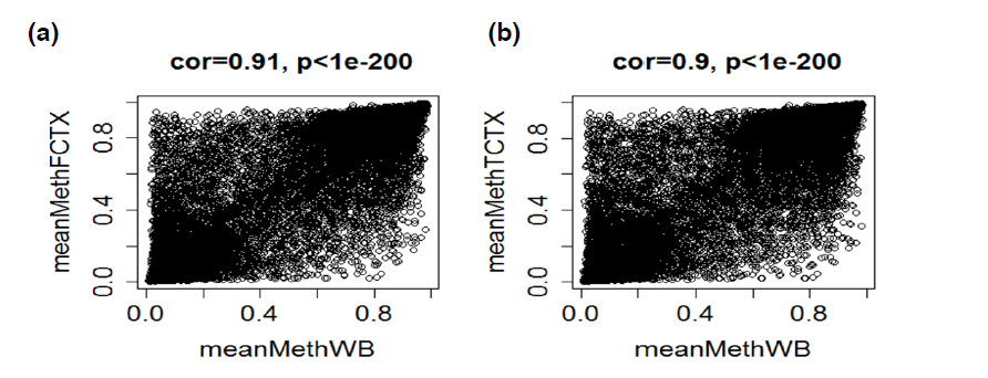 Correlatie tussen bloed en brein voor methylation levels onder