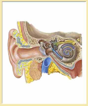 Wat is tinnitus?