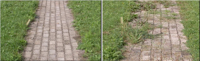 De ervaringen van de provinciale medewerkers van de afdeling Wegen met gebruik van beton(platen) zijn niet zo positief.