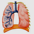 6 per 100 cases/year Kidney transplantation highest risk 40 20 28