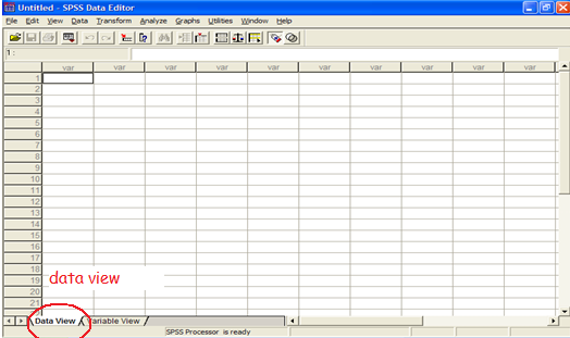 SPSS - hoofdstuk 1 : 1.4.