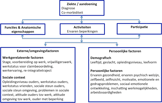 bevorderend dan wel belemmerend kunnen werken bij het verkrijgen dan wel het behoud van werk bij Wajongers (Achterberg & Holwerda et al, 2010) 9.