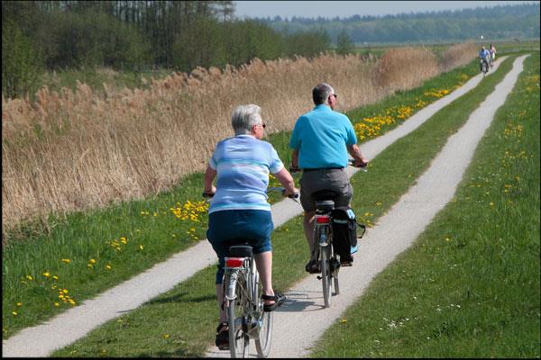 MOBIELE stad Actieve mobiliteit