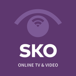 STICHTING KIJKONDERZOEK ONLINE TV EN VIDEO 2015 GEAGGRE- GEERDE