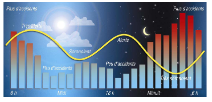 o De volgende figuur relateert het biologische ritme van de mens aan verkeersongevallen.