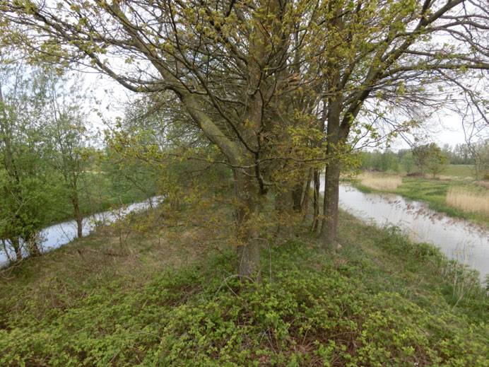 3.Schuurkerk 4,8km 1 Startpunt bij de oude grens van de heerlijkheid van Ravenstein en onze Souvereine Heerlyckheid. 1. Schuurkerkweg (grens over steken Landmeerse loop). Esdonk. Volg kp 79 2.