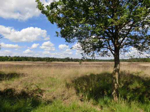 Wandelen langs oude en nieuwe grenzen Voor veel mensen is een grens niet meer dan een stippellijntje op de kaart of een paar gebouwen langs een weg.