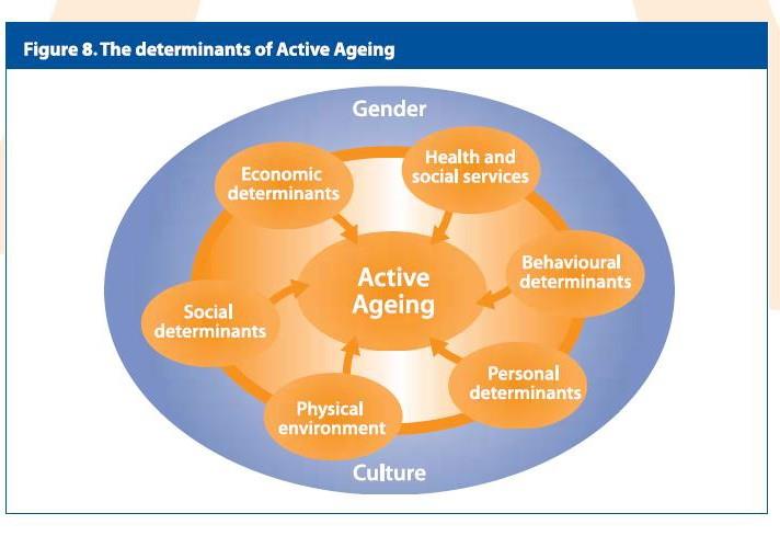 Determinants of active ageing Reduction of risk for a disablement Functional decline Family care, Education literacy