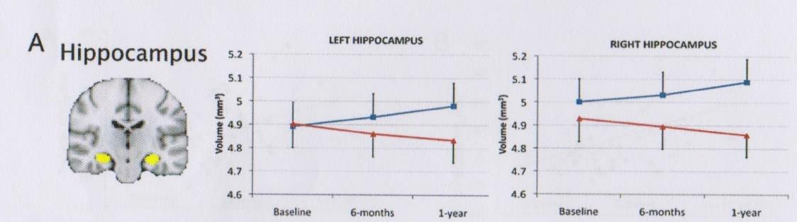 Exercise training increases size of hippocampus and improves memory Kirk Erickson en anderen Pittsburgh U.S.A. 2011 Onderzoek twee groepen ouderen( 60-60 ) die ongeveer allebei hetzelfde kunnen.