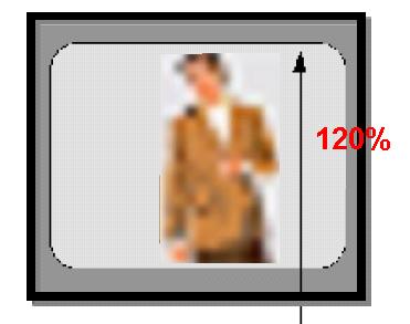 D e ene methode hangt af van de grootte van de te herkennen of identificeren persoon ten opzichte van het beeldscherm en de andere methode maakt gebruik van een zogenaamde Rotakinpop.