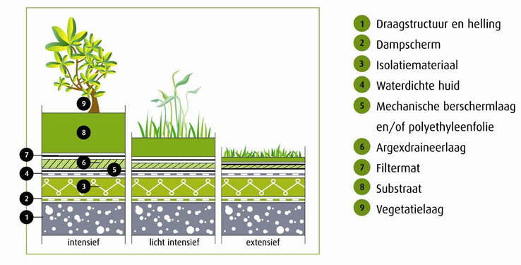 p. 4 1.2 Opbouw Bron: Argex Vegetatielaag De vegetatielaag van een intensief groendak is anders samengesteld dan de vegetatielaag van een extensief groendak.