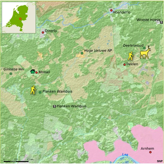 boswachter gaan we op safari over de heidevelden, zoeken naar diersporen en natuurlijk wild.