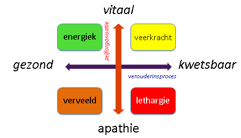Figuur 1: Model voor vitaliteit (Van der Ouderaa en Lindenberg, 2014) 2.