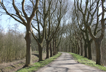 Lapdijk 14, Moerdijk Landelijk & Exclusief Wonen Makelaardij og