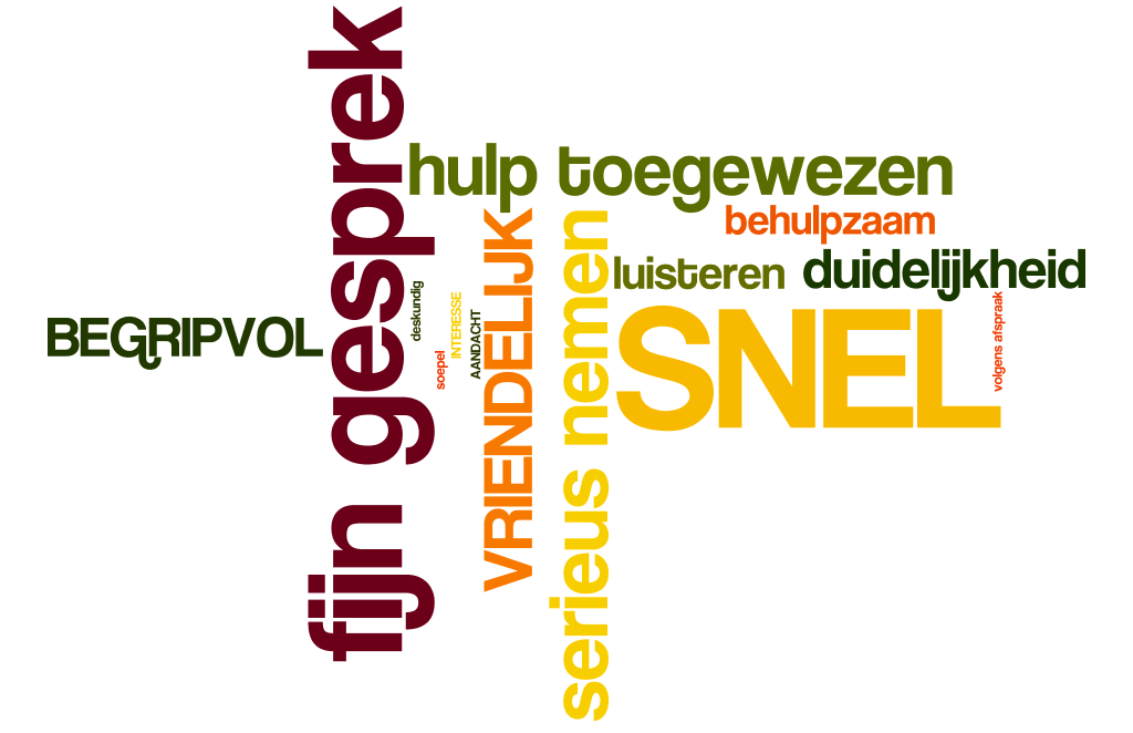 4. Oordeel aanvraagprocedure Wordcloud: Hoe vindt u