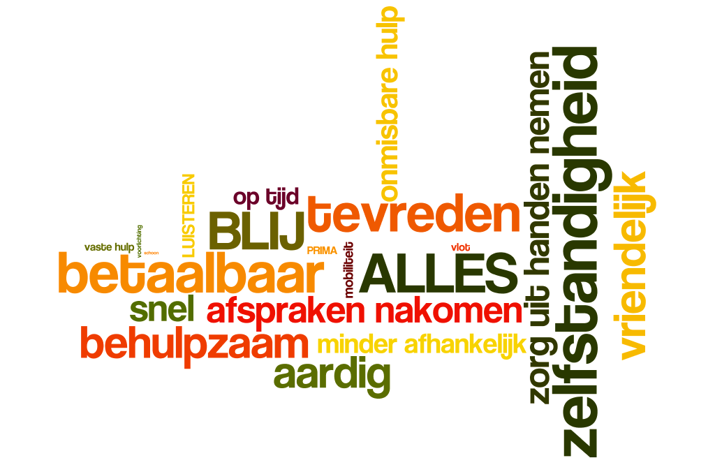 3. Oordeel ondersteuning Wordcloud: Kunt u iets zeggen over