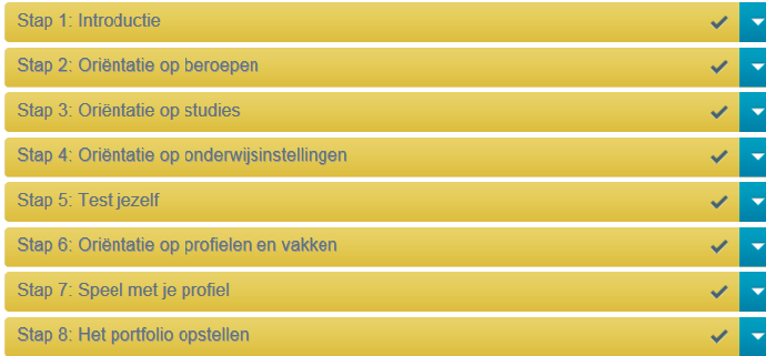 Opbouw van het programma De leerling volgt een persoonlijk stappenplan dat is samengesteld door de decaan en maakt daarin een aantal