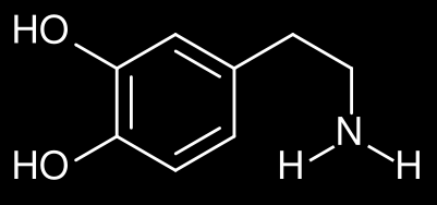 Dopamine Dosis afhankelijk effect 1-5 μg/ kg/ min DA receptor effect 5-10 μg/ kg/ min ß-1effect 10-20 μg/ kg/ min α-1 Indicaties: