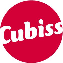 Colofon In opdracht van: Uitvoering en rapportage: Team Onderzoek Ilse Lodewijks T 013 46 56 105 E i.lodewijks@cubiss.