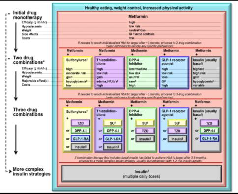 FoodSteps Navorming -- Insuline-therapie Insuline-therapie in type diabetes C. Mathieu Endocrinologie, UZ Leuven C.