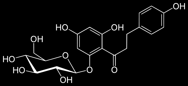 Phlorizin, isolated from apple, pear, cherry, plum etc.