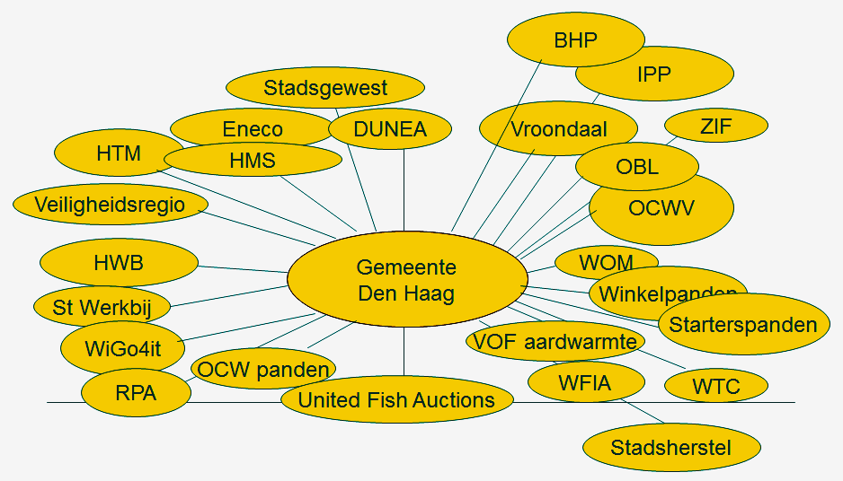 In beeld brengen verbonden partijen (voorbeeld Den Haag) WOM Vestia N.