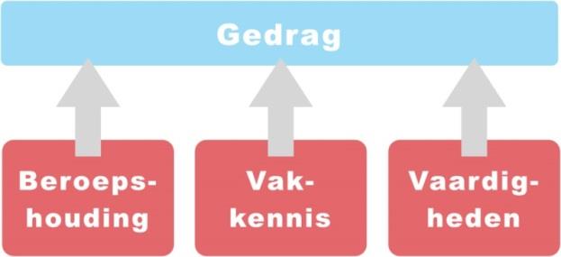 De vaardigheden verwijzen naar manieren van werken die nodig zijn voor het succesvol uitvoeren een kerntaak.