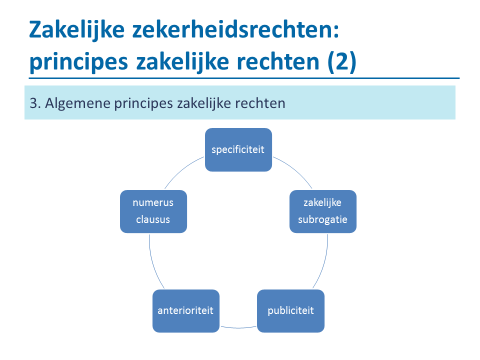 1) specifiteitsbeginsel - enkel op geïndividualiseerde zaken - voldoende bepaald/bepaalbaar goed/schuldvordering - toekomstige schuldvorderingen kan 2) numerus clausus beginsel - enkel wettelijk