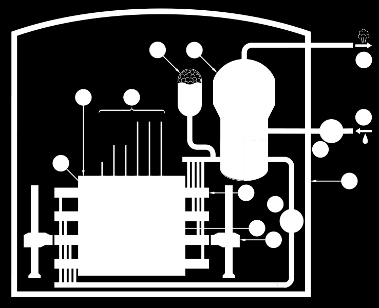 PHWR Pressurized heavy water reactor CANDU reactor met D 2 O moderator en