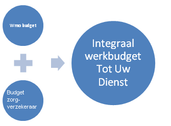 Integrale budgetfinanciering Welzijn en zorg worden vanuit veel verschillende geldstromen betaald. De verkokering werkt kostenverhogend en is niet efficiënt.