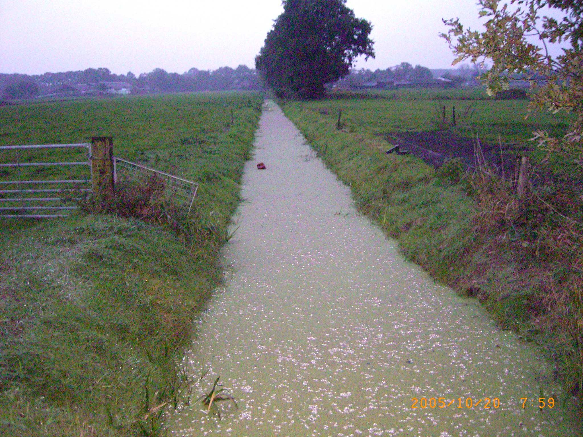 De westzijde van het gebied is de zomerdijk van het Drontermeer en de zuidzijde is de lijn Elburg- t Loo. Aan de oostzijde vormen de Gelderse Gracht en Heijgraaf de grens.