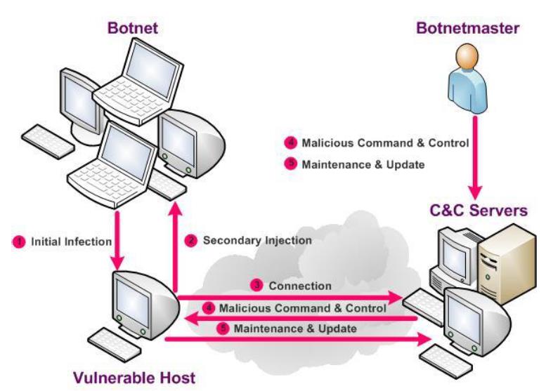 onderhoudsfase is er op gericht om de bot te onderhouden en up te daten. Er kan in deze fase een update worden geïnstalleerd van de botsoftware met nieuwe mogelijkheden. 3.