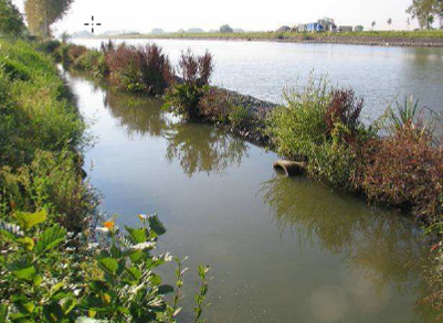 EINDRAPPORT De kosten en baten van NTMB - oevers langs bevaarbare waterlopen in Vlaanderen Studie