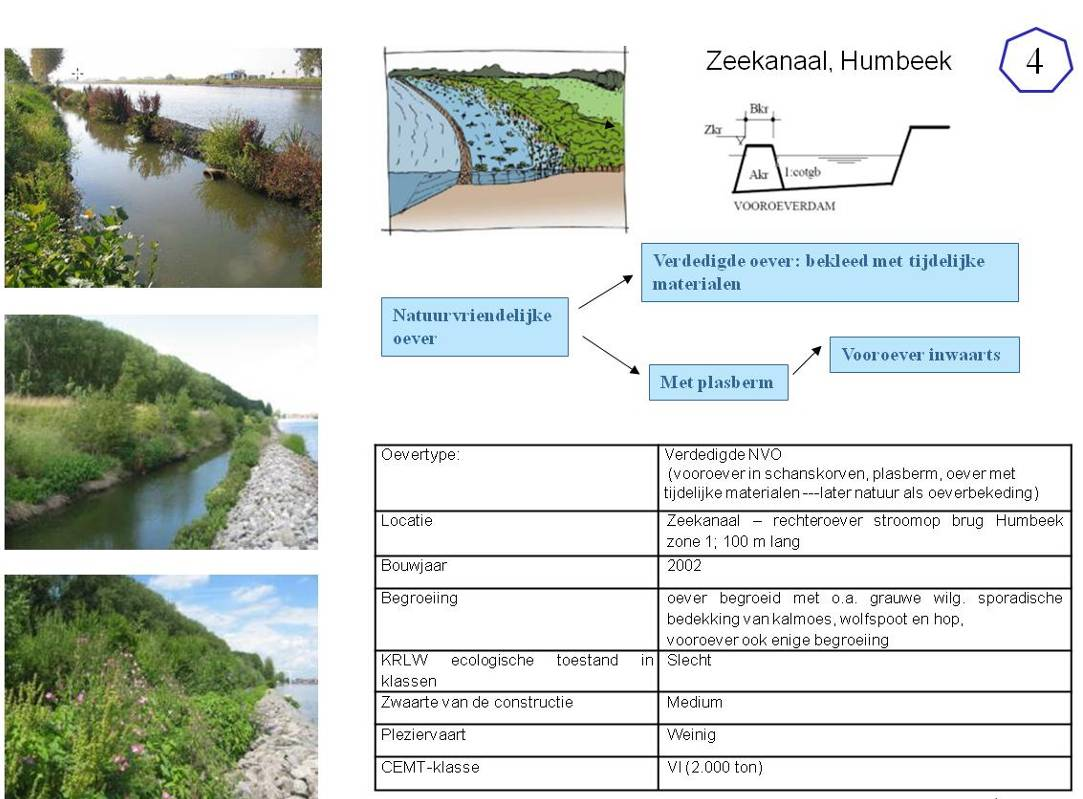 5.4. Een tweede NVO met plasberm: Zeekanaal- Humbeek 5.4.1. Beschrijving van de case De case is een natuurvriendelijke oever (NVO) met plasberm langs het Zeekanaal Brussel-Schelde.