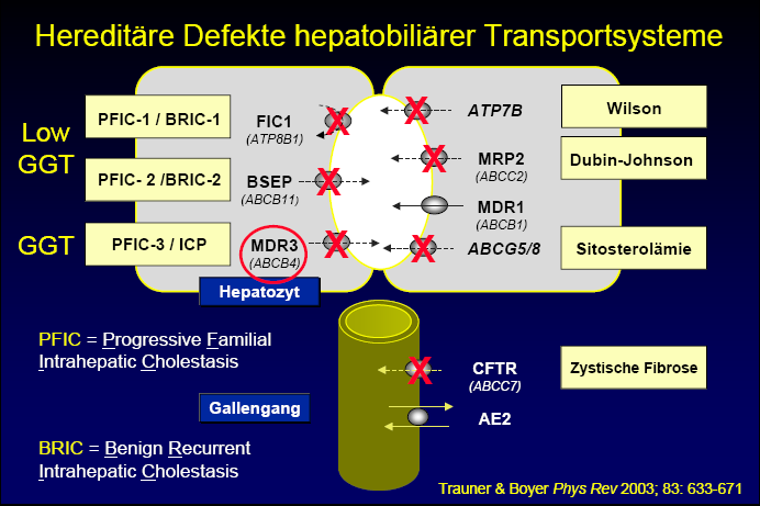 Hereditary Defects in Hepato-biliary Transport
