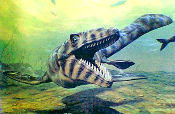 ( verschrikkelijke klauwen ). De botten zouden afkomstig zijn van een ornithomimide, waarschijnlijk de snelste groep dinosaurussen.