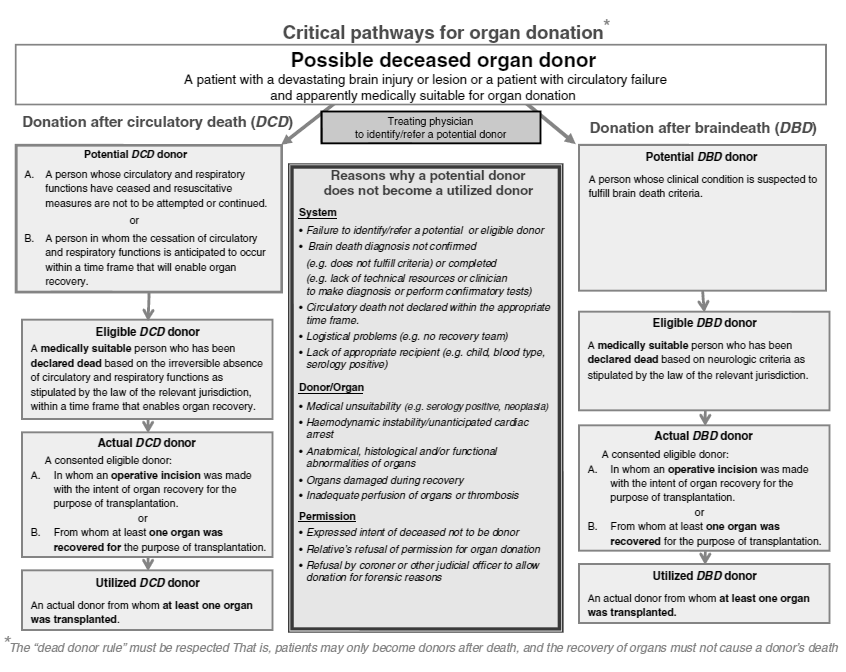 Figuur 3: The critical pathway for organ donation (Domínguez-Gil, et al.