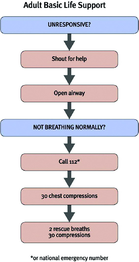 Nieuwe richtlijnen voor cardiopulmonale reanimatie 2010 bij volwassenen 721 van gasping als teken van abnormale ademhaling na het optreden van een hartstilstand is belangrijk.