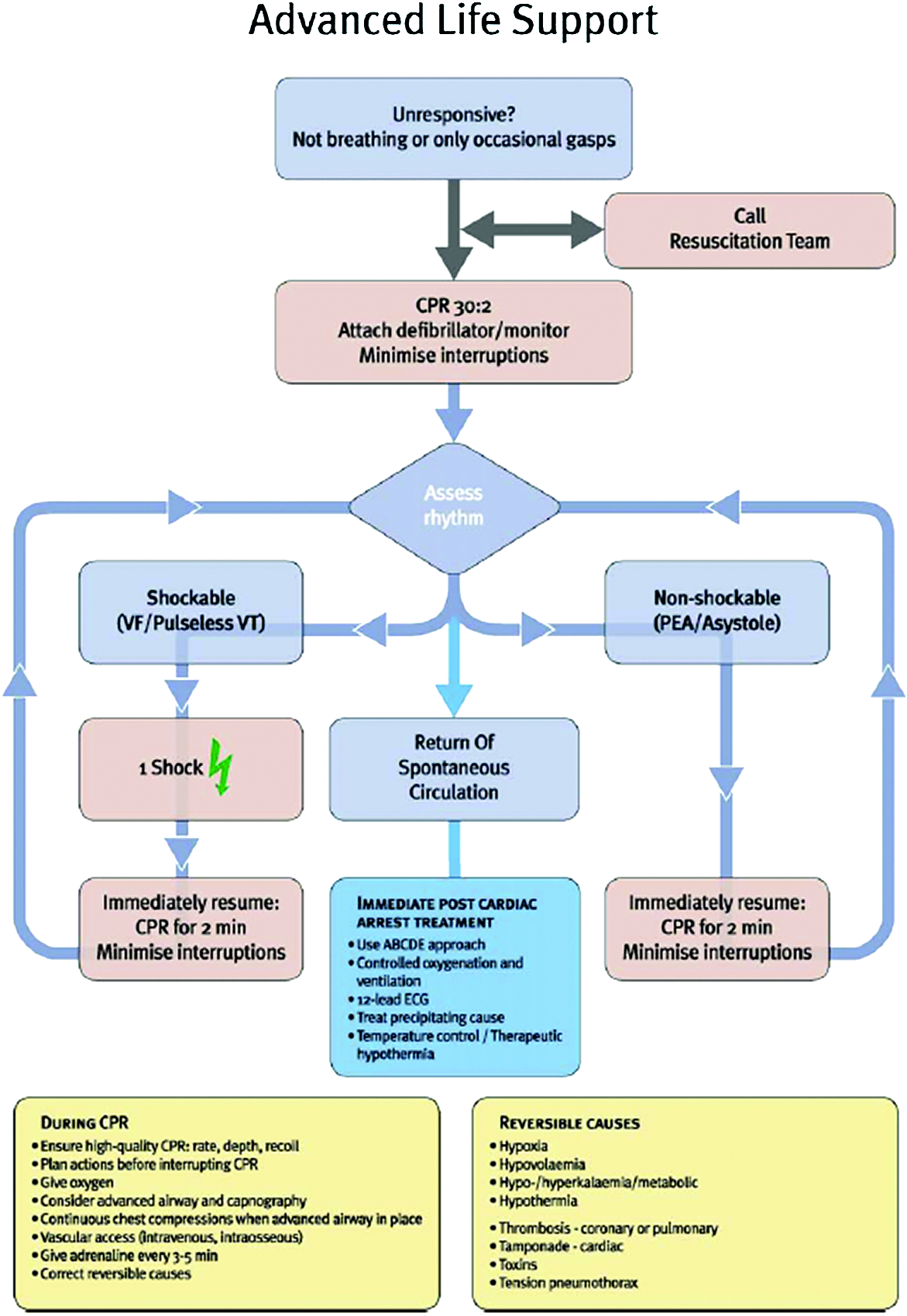 722 P. Van Boxstael, B. Vantroyen, P. Vanbrabant Fig. 3: Adult advanced life support.