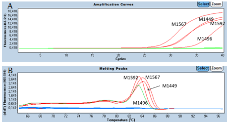 Resultaten Specificiteits assay Om de specificiteit van de F. prausnitzii qpcr na te gaan werden 10 stoelgang Qiagen extracties (QE) meegenomen in een F. prausnitzii assay.