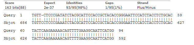 Addendum Figuur 14: Sequenties van de qpcr-producten M1449 (A),