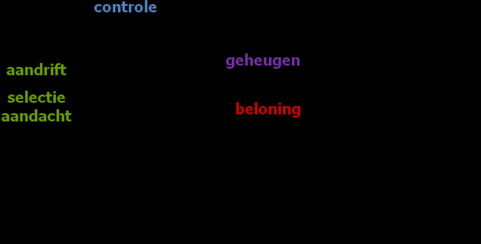 Zie bijvoorbeeld http://www.impliciet.eu.