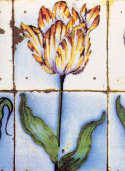 Rond 1610 verscheen de tulp als motief voor het eerst op tegels, toen nog vergezeld door granaatappels en druiven. Vanaf 1620 werd de tulp zelf als motief gebruikt, zonder andere motieven.