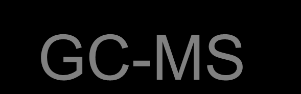 GC-MS Injector Transferline Ion Trap