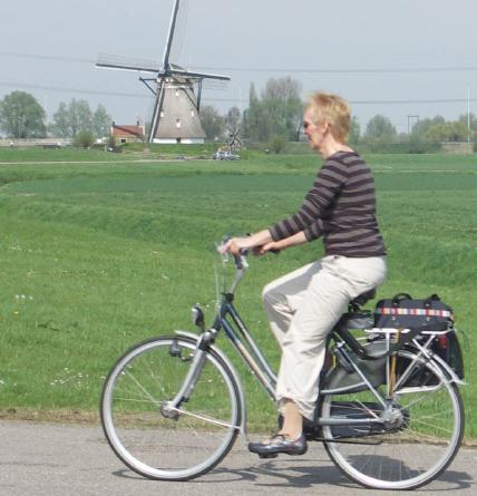 4 Machtsfuncties als verband Toepassingsopgaven snelheid v b (km/h) remweg s rem (m) 10 1,3 15 3,0 20 5,1 25 8,1 30 Remweg van een fiets Johan en Irene hebben de remmen van hun fiets getest.